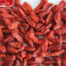 2017 nuevo distribuidor rojo pequeño goji berry